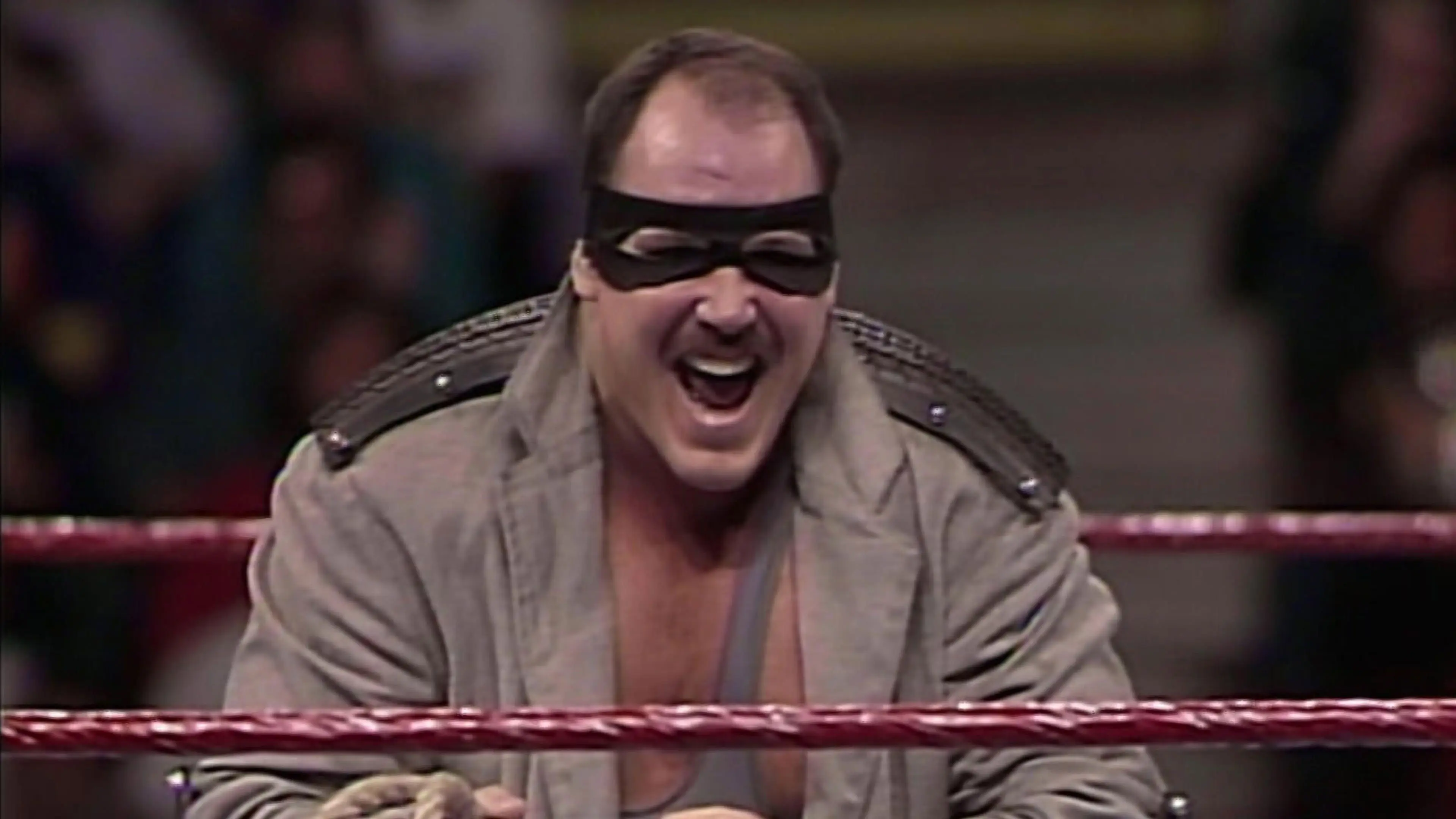 WWE WrestleFest '93 backdrop