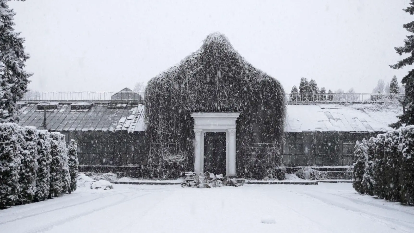The Winter Garden’s Tale backdrop