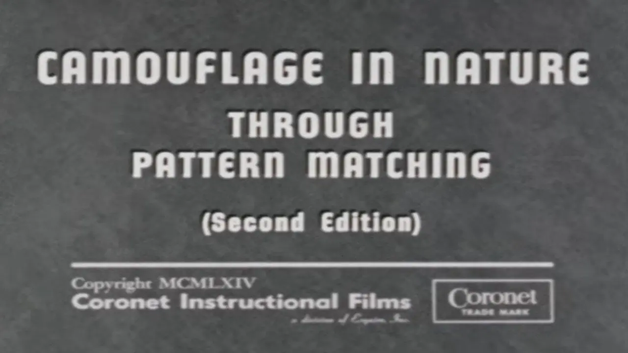 Camouflage In Nature: Through Pattern Matching (Second Edition) backdrop