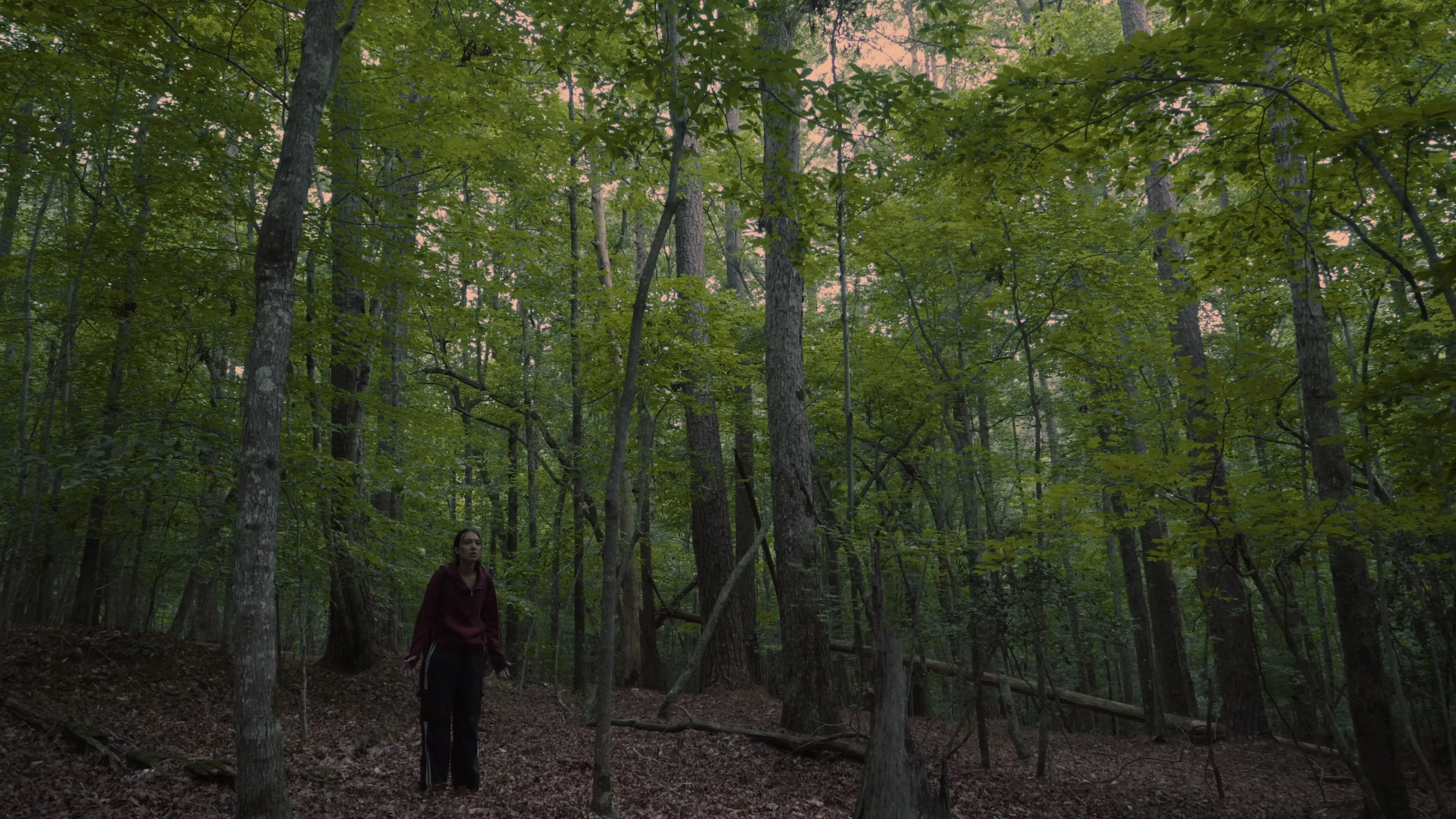 Echoes of the Absent backdrop