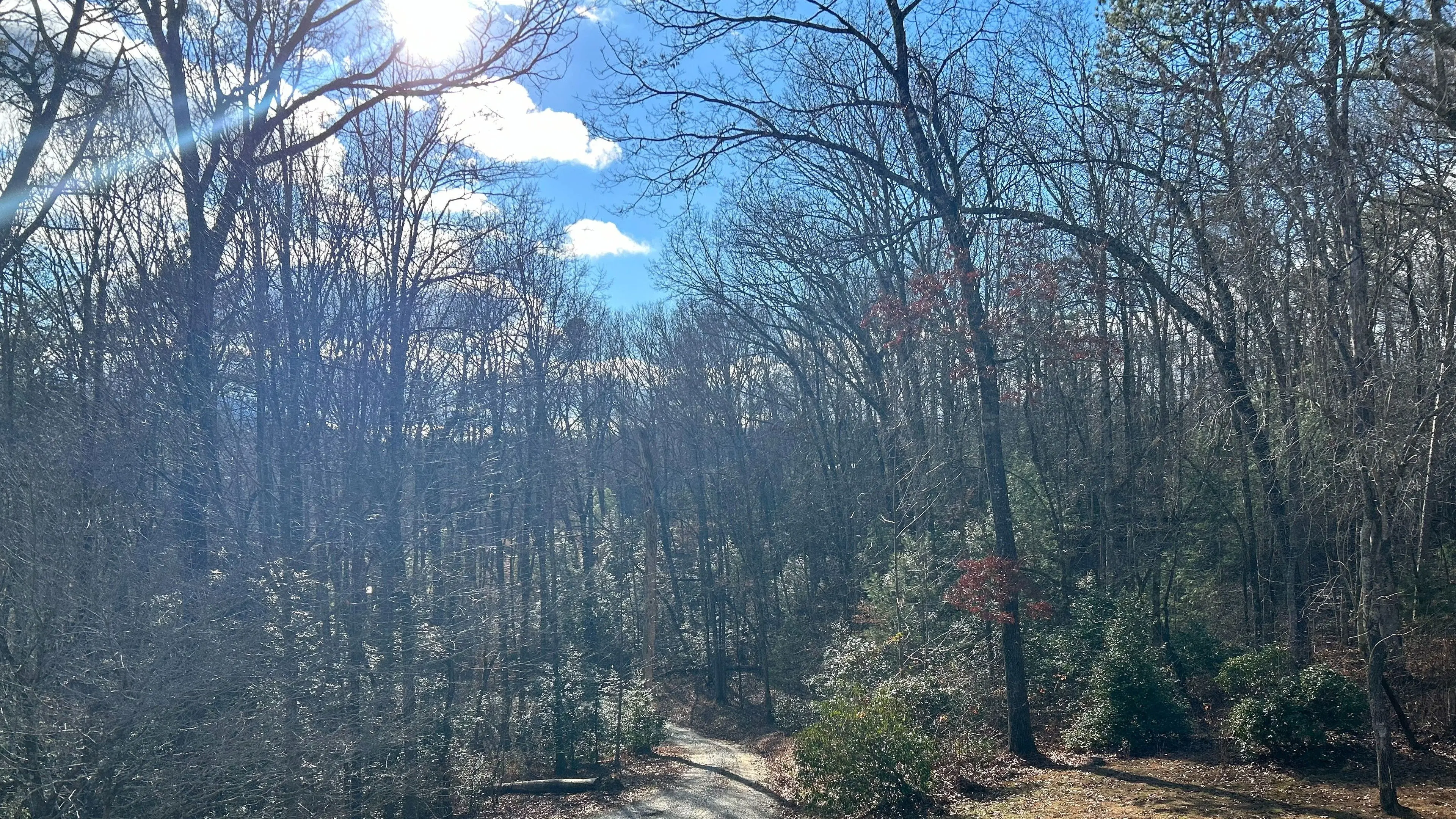 Clausible Deniability backdrop