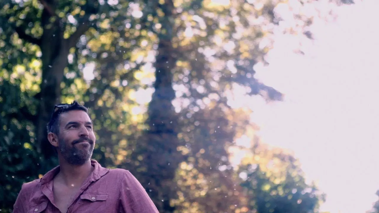 Layers of Reed backdrop