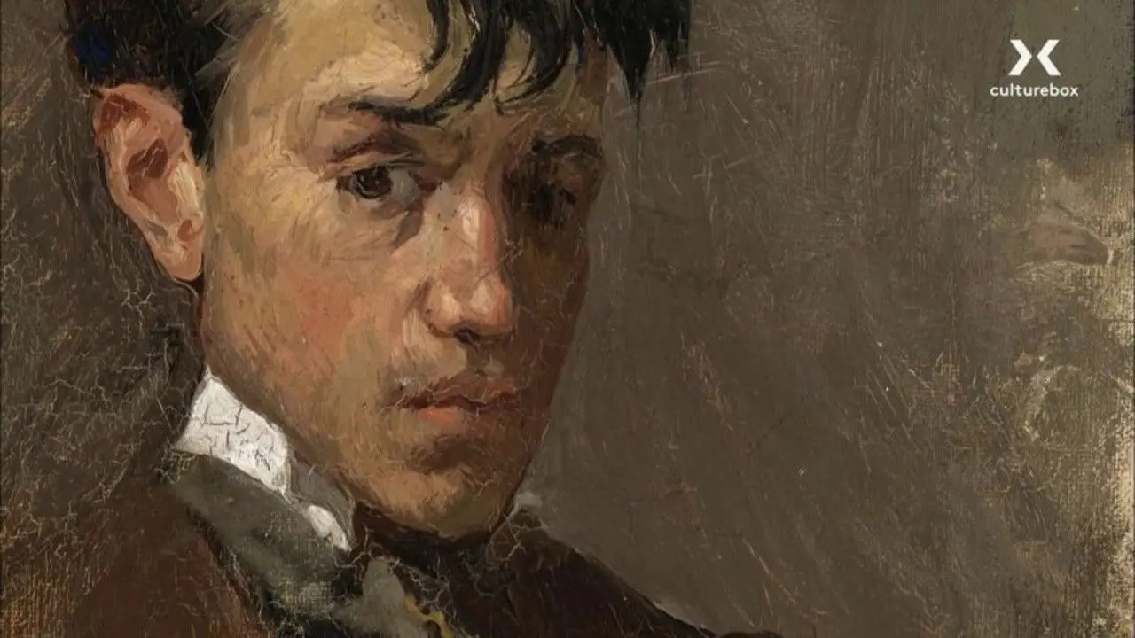 Picasso Metamorphoses in Blue and Pink backdrop