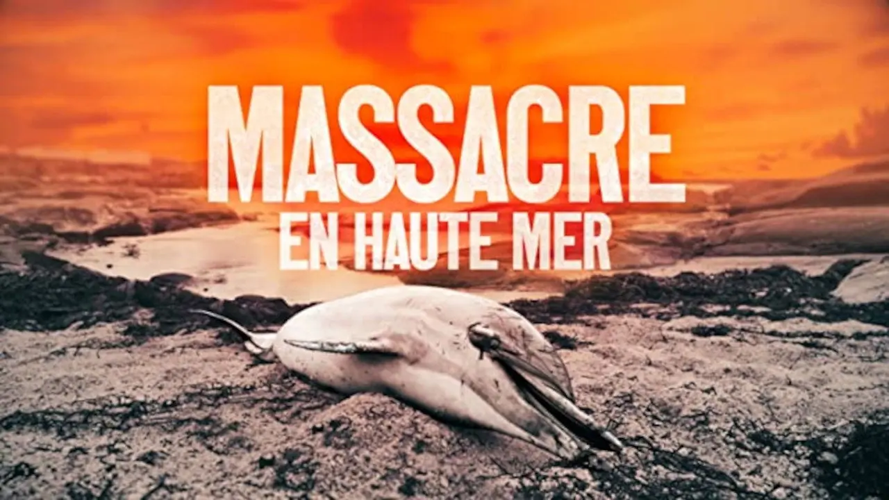 Massacre en haute mer backdrop