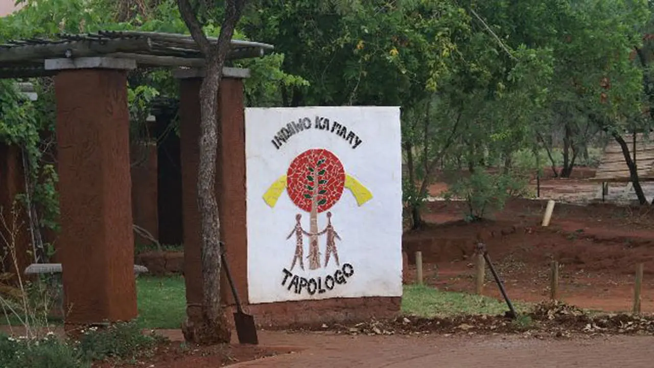 Tapologo backdrop