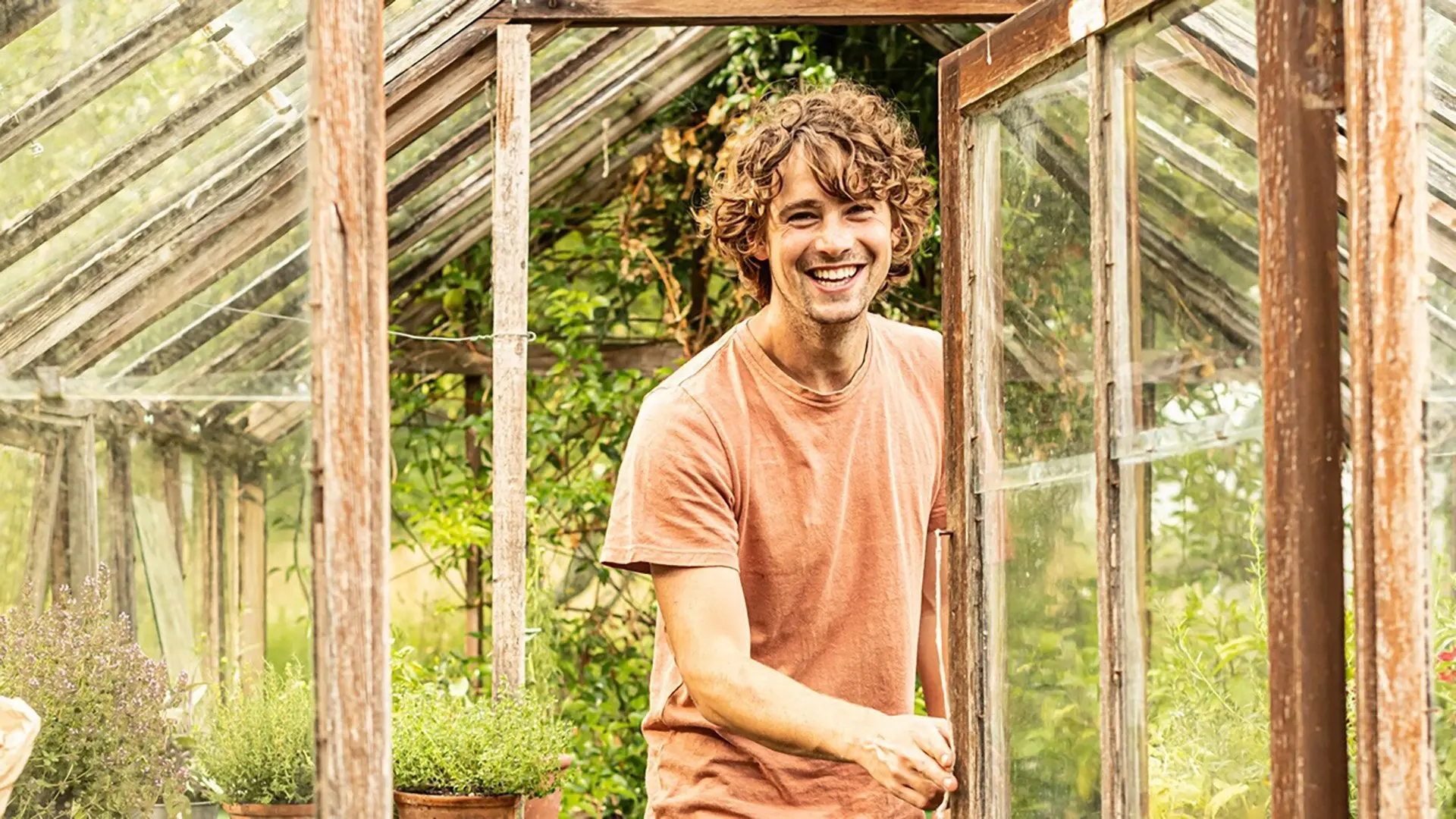 A Taste of the Country backdrop