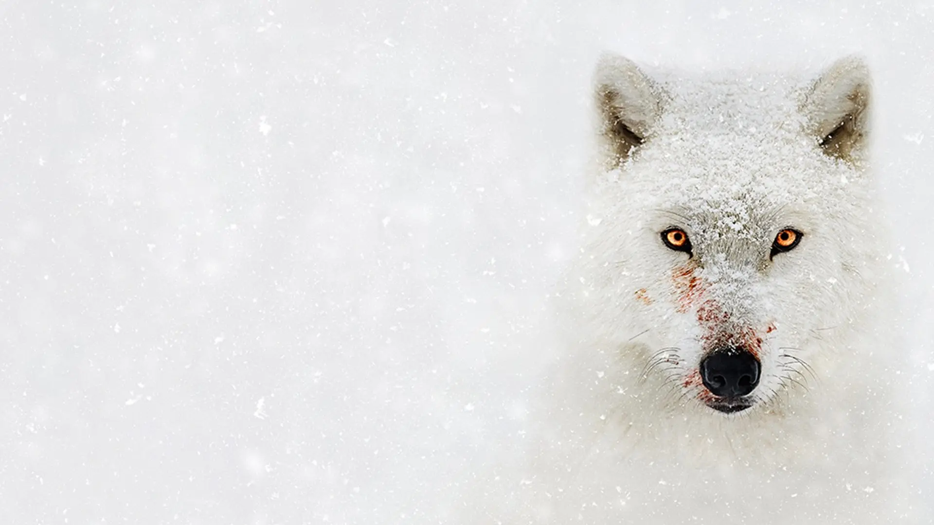 Hostile Planet backdrop