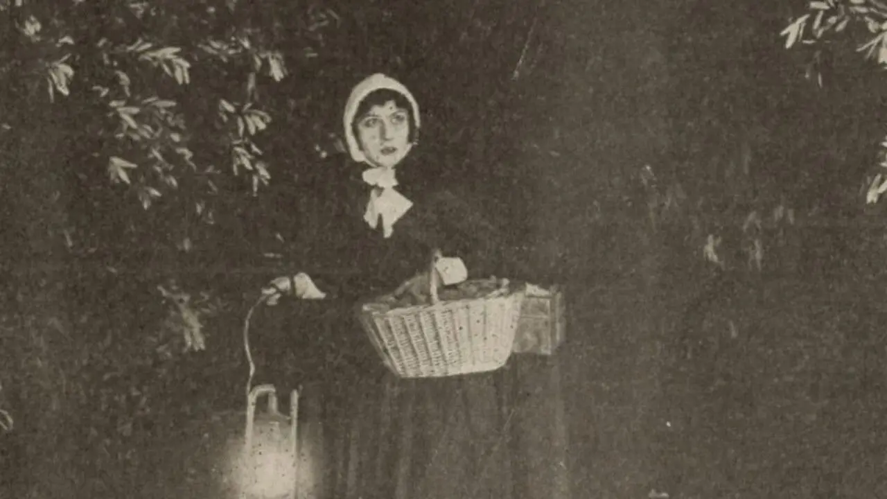 The Seekers backdrop