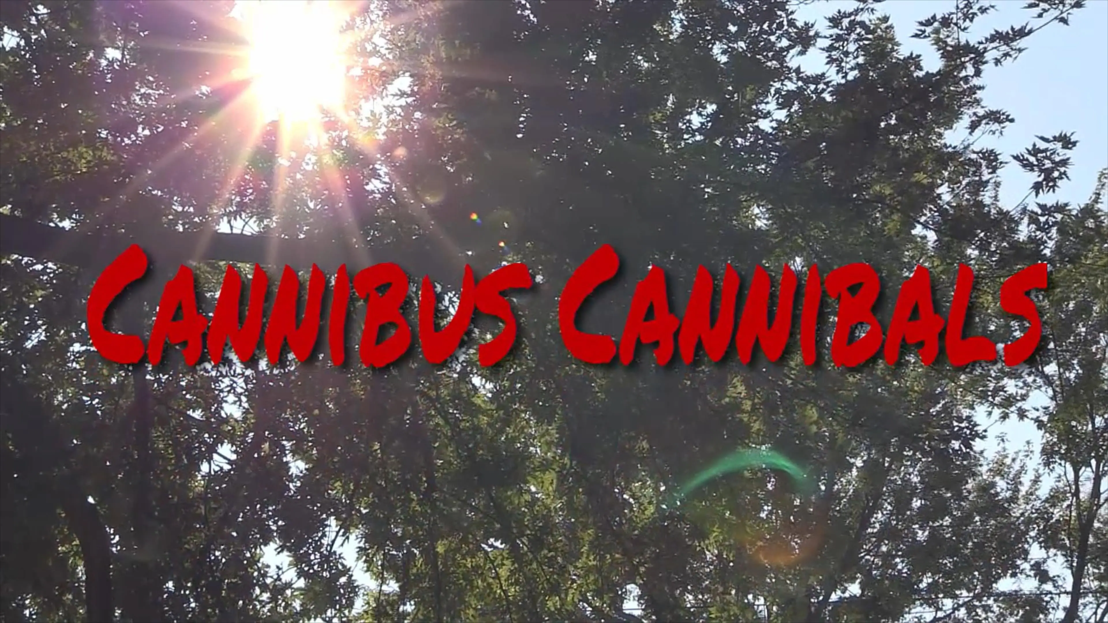 Cannabis Cannibals backdrop