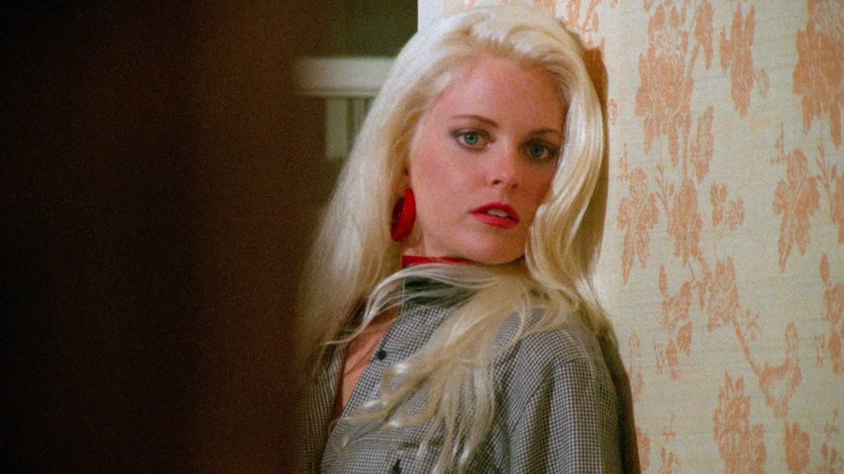 Eleven Days, Eleven Nights 2 backdrop