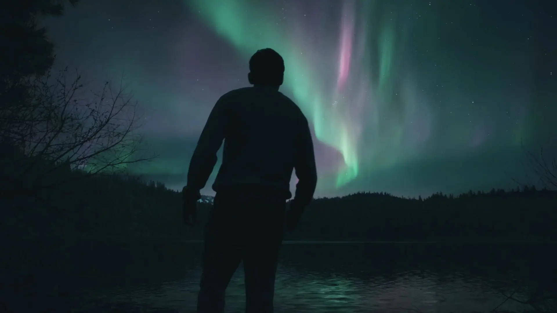 To the Mountains backdrop