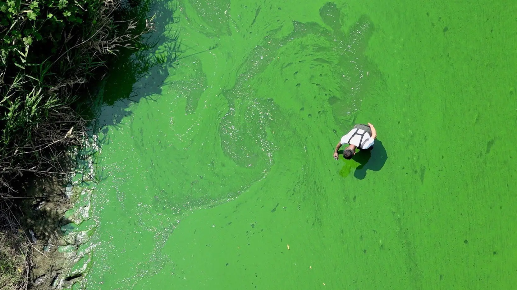 Rivercide: The Secret Six backdrop