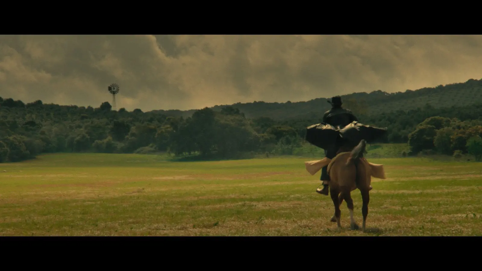 Portuguese Joe backdrop