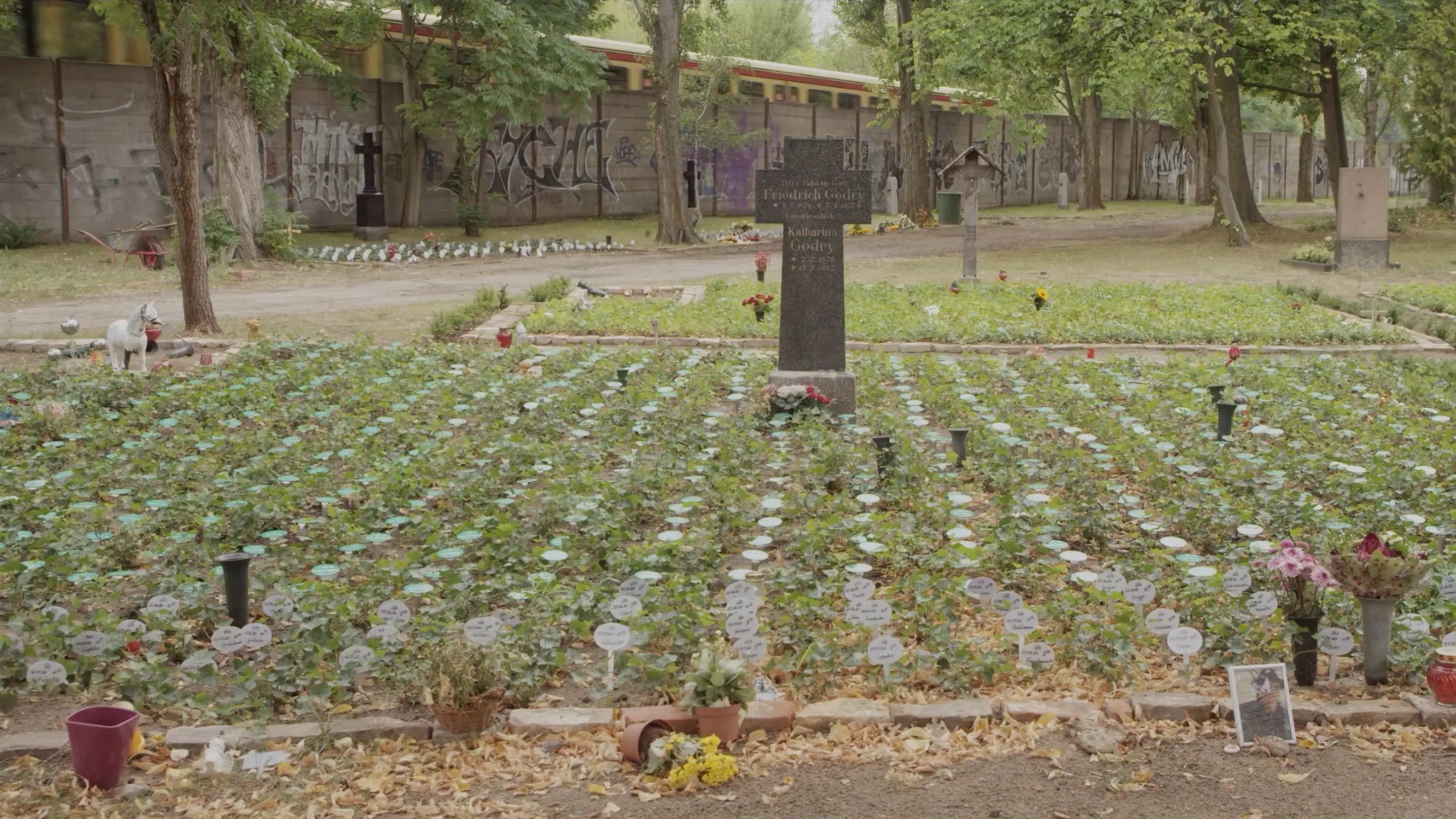 Going Alone backdrop