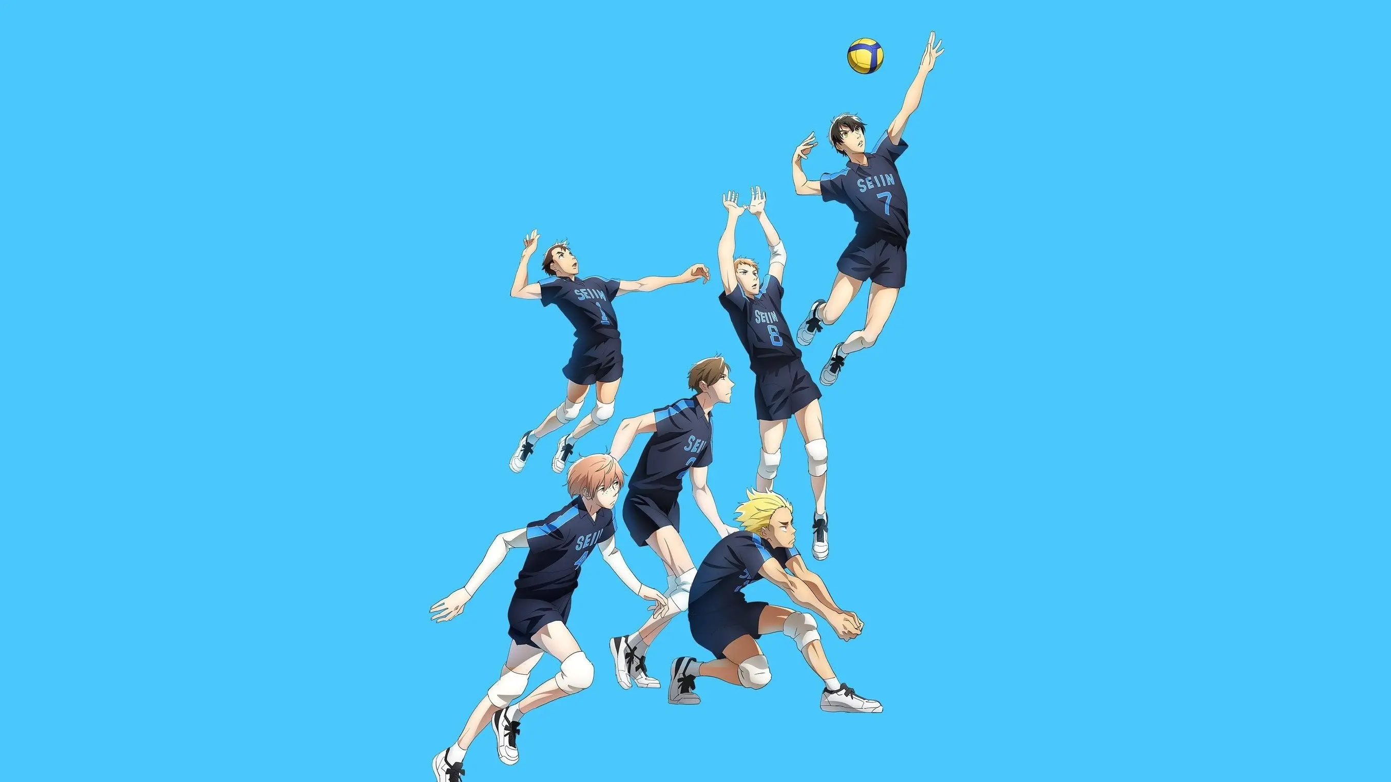 2.43: Seiin High School Boys Volleyball Team backdrop