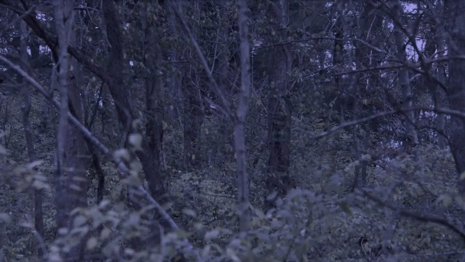 Sometime, Somewhere, in Bellwood backdrop