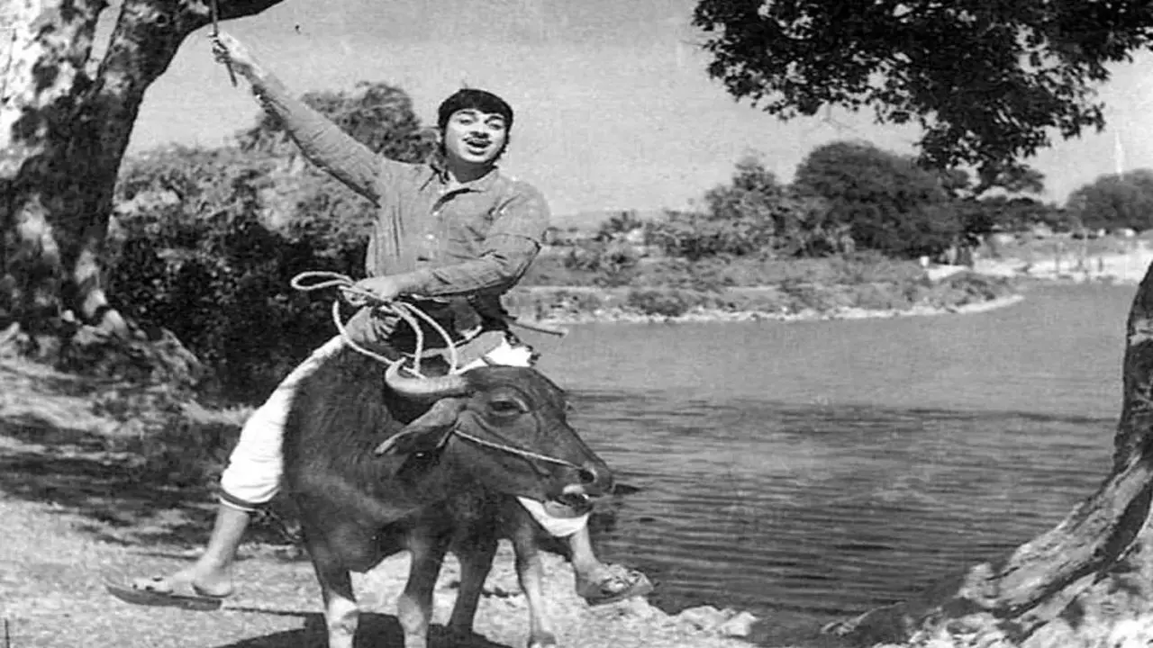 Sampatthige Savaal backdrop