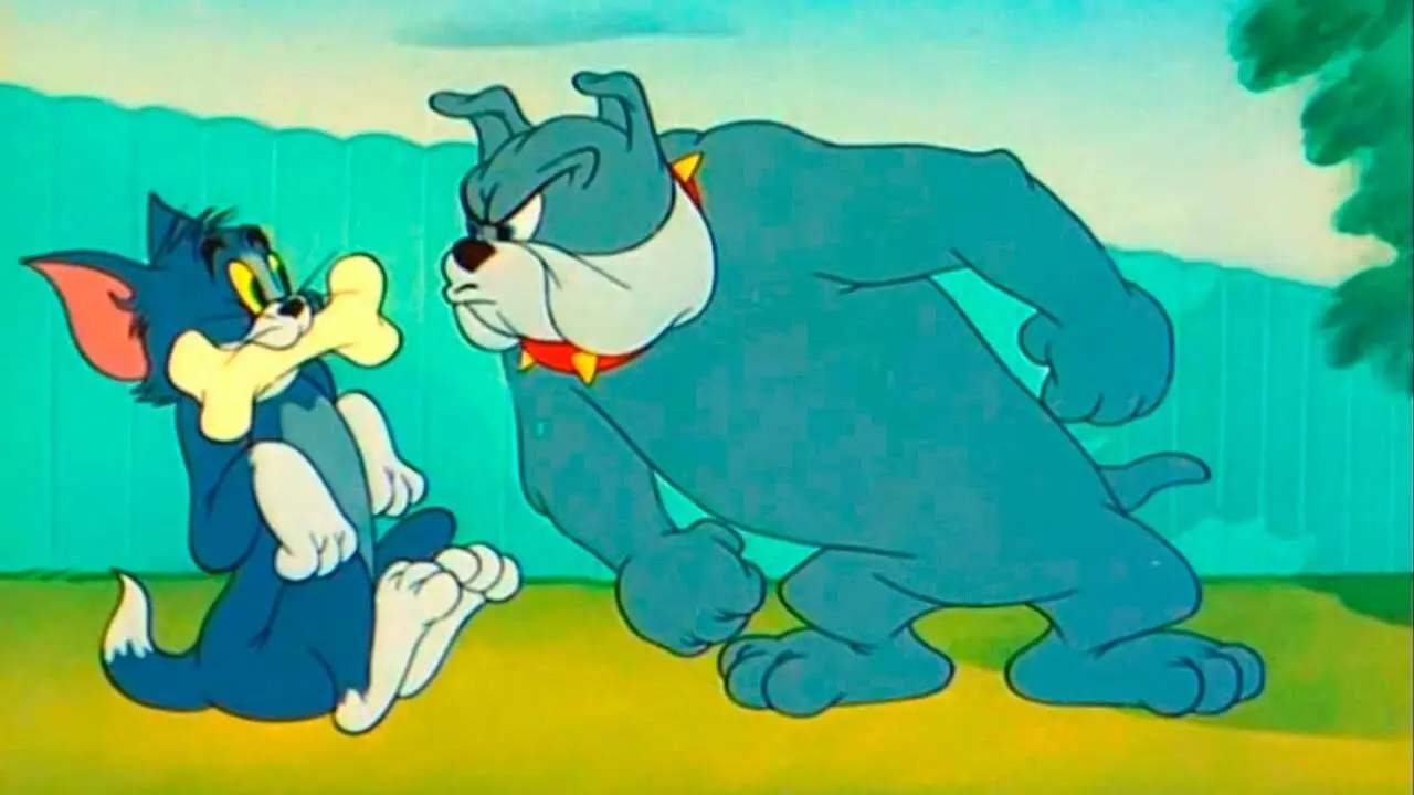 The Framed Cat backdrop