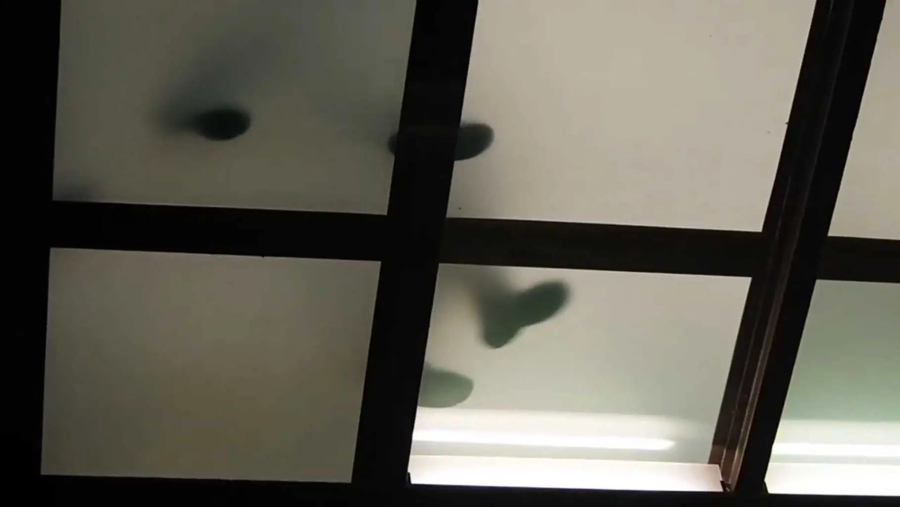 Galleries of Paris backdrop