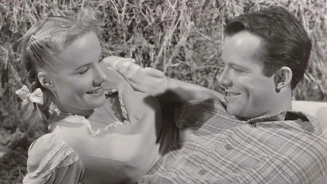 The Big Cat backdrop