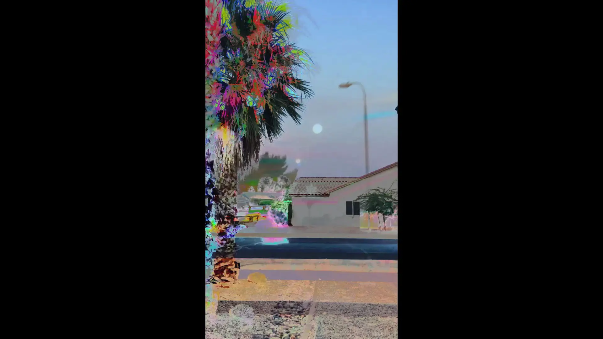 Almost Anything backdrop