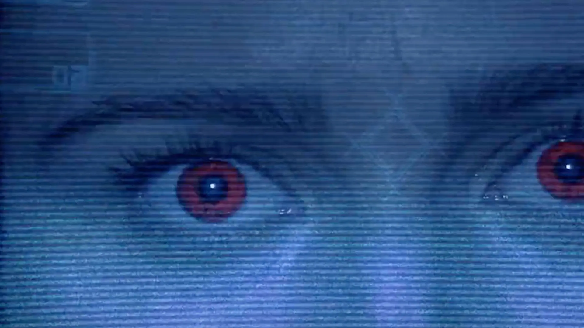 Bright Eyes backdrop