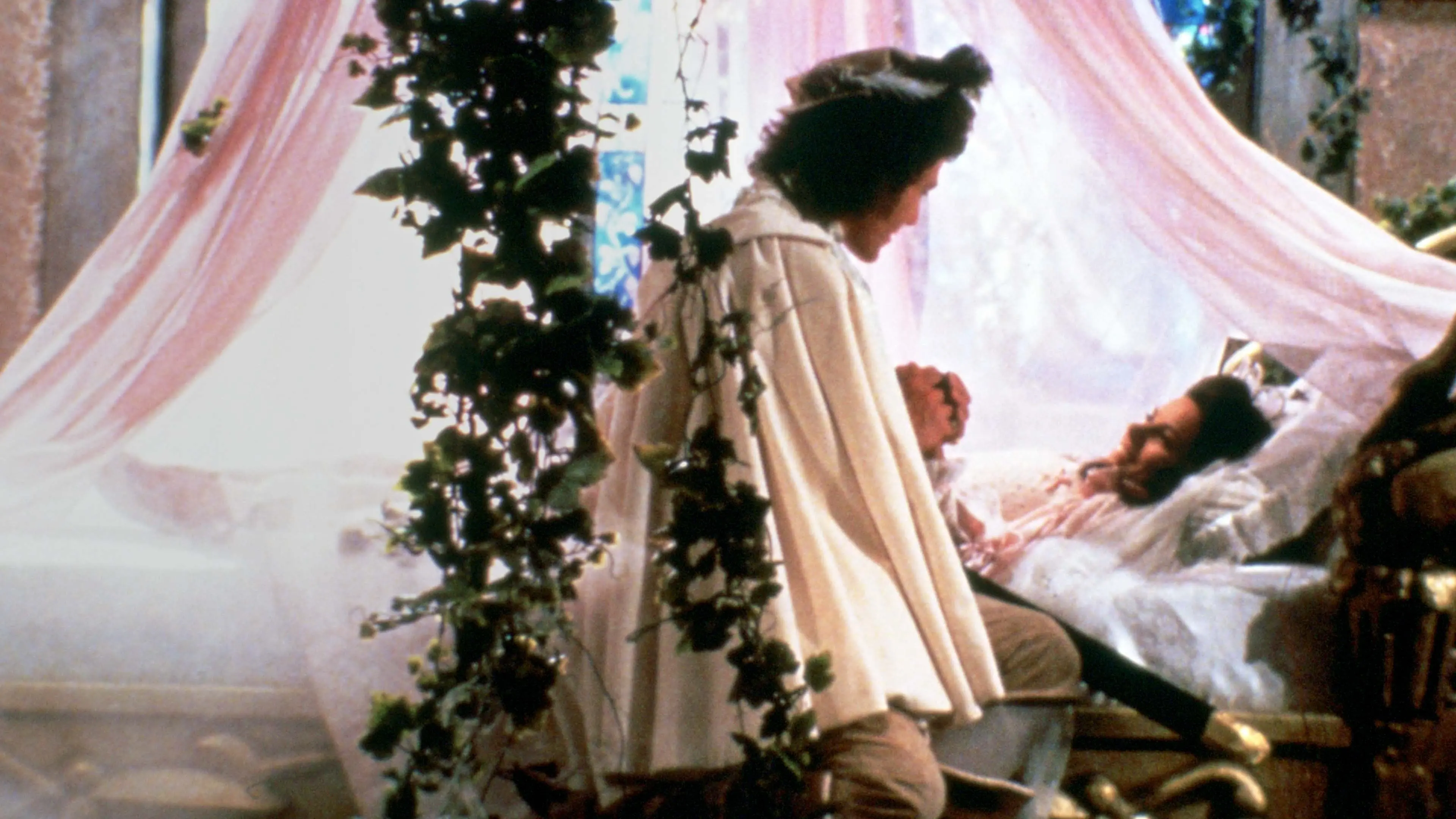 Sleeping Beauty backdrop