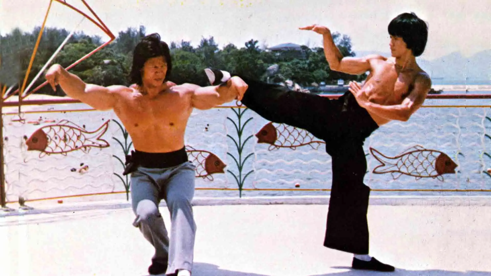 The Legend Of Bruce Lee backdrop