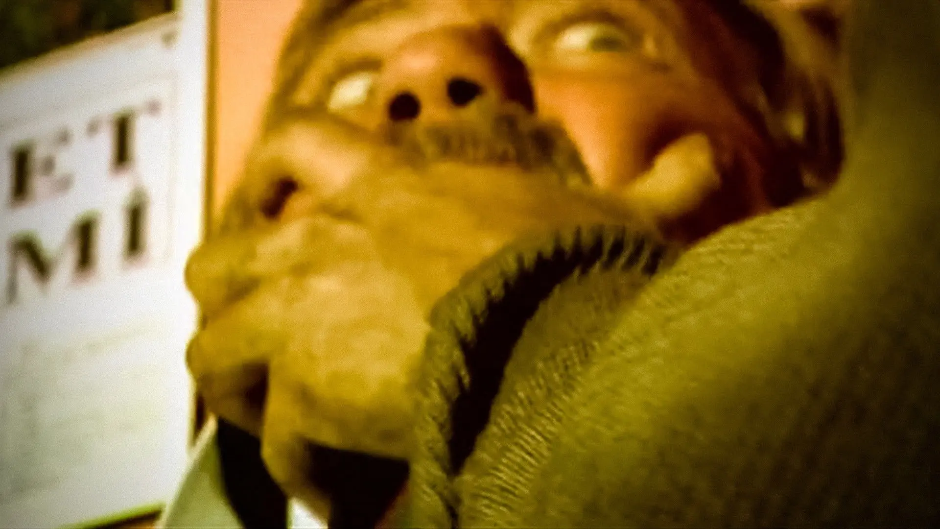 Festival of the Sacrifice backdrop