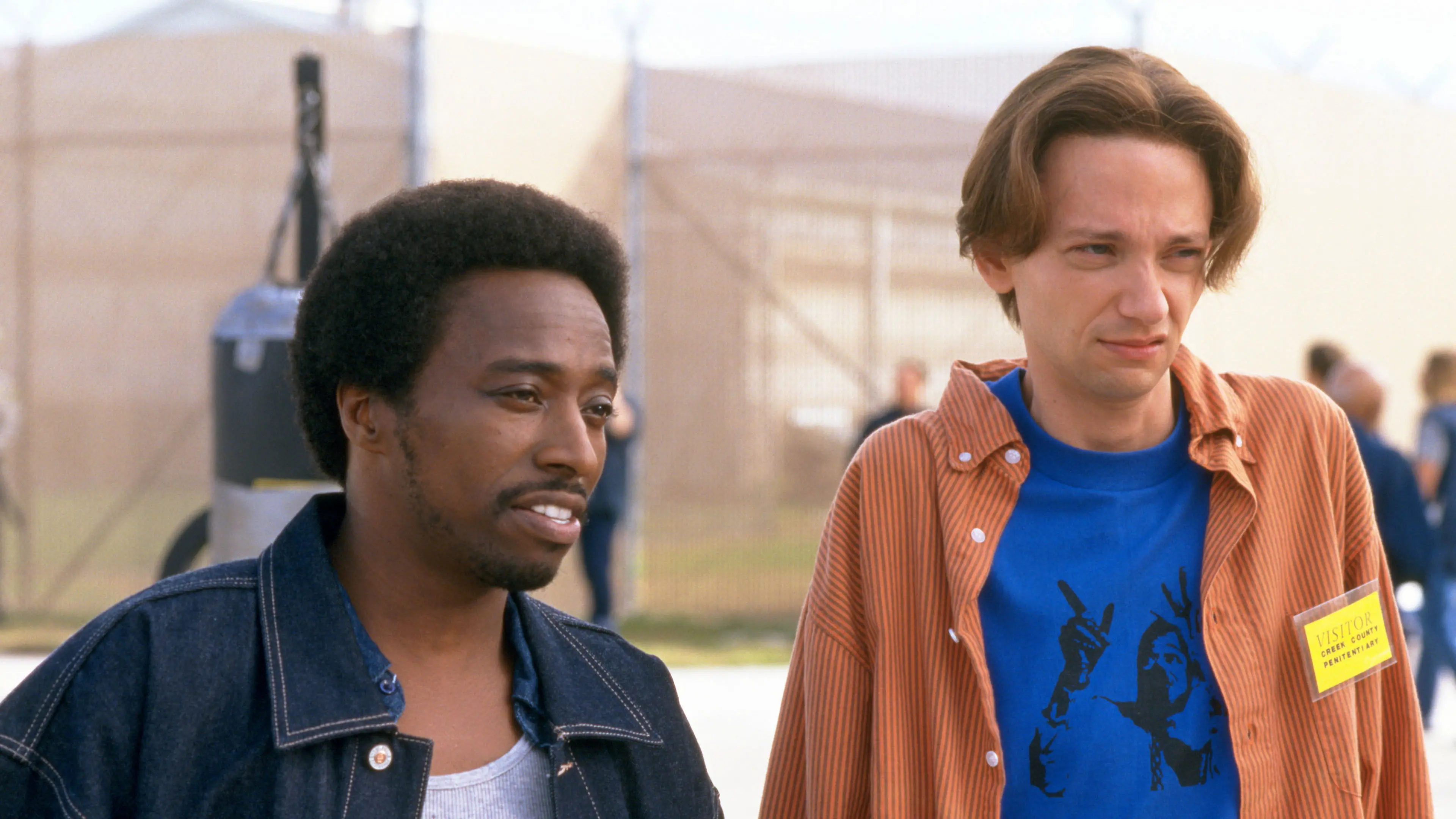 The New Guy backdrop