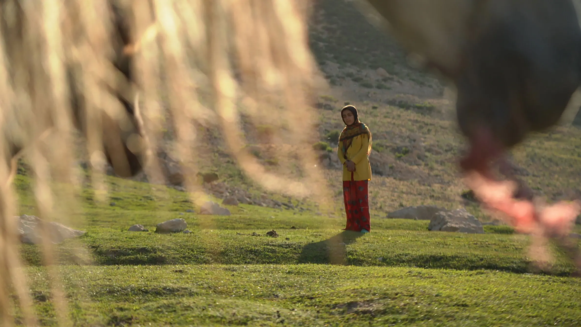 The Dream of a Horse backdrop