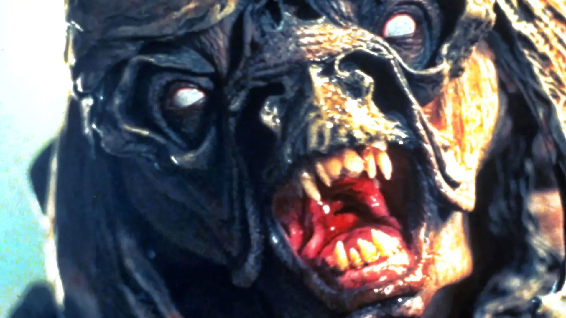 Within the Rock backdrop