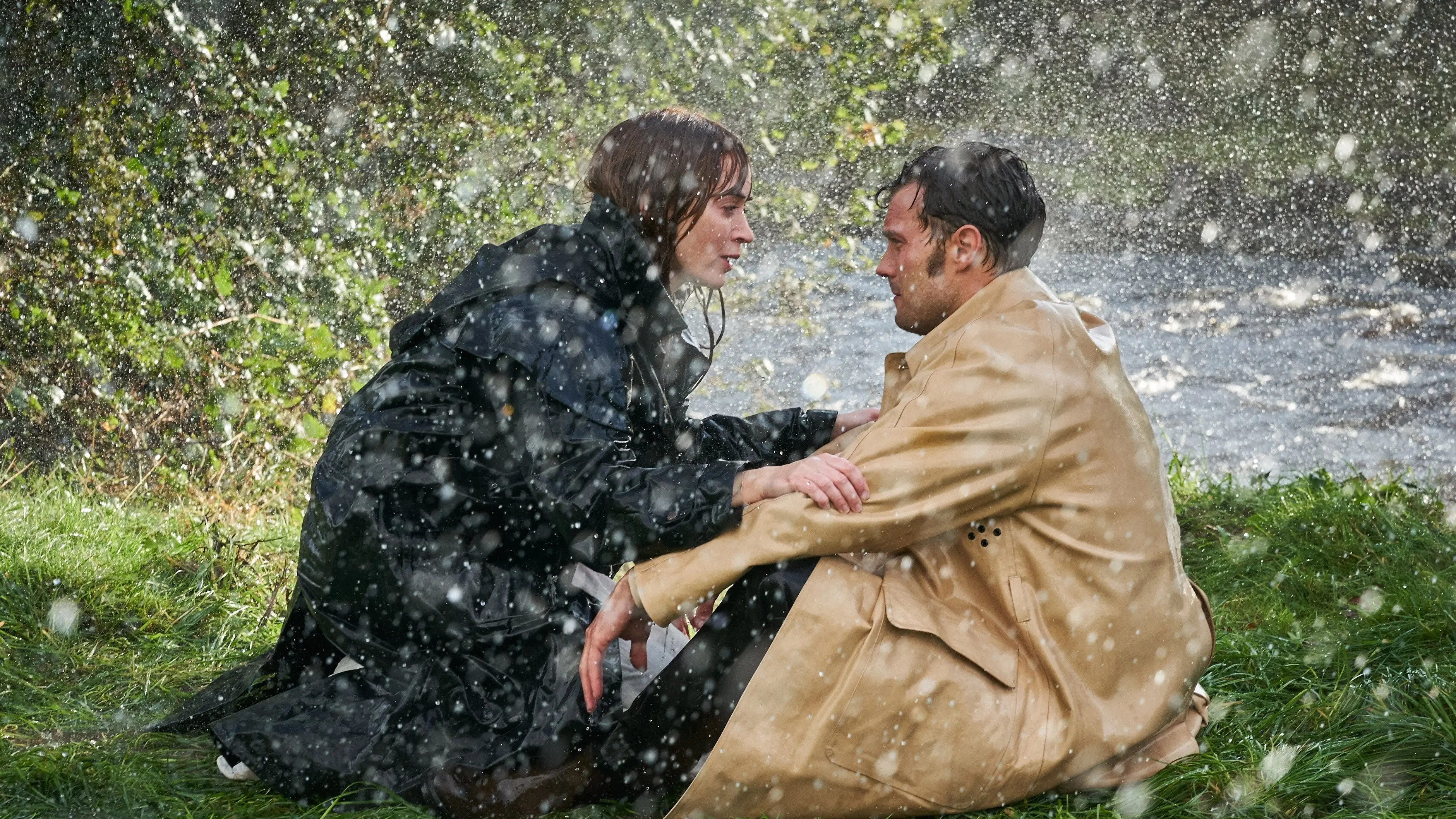 Wild Mountain Thyme backdrop