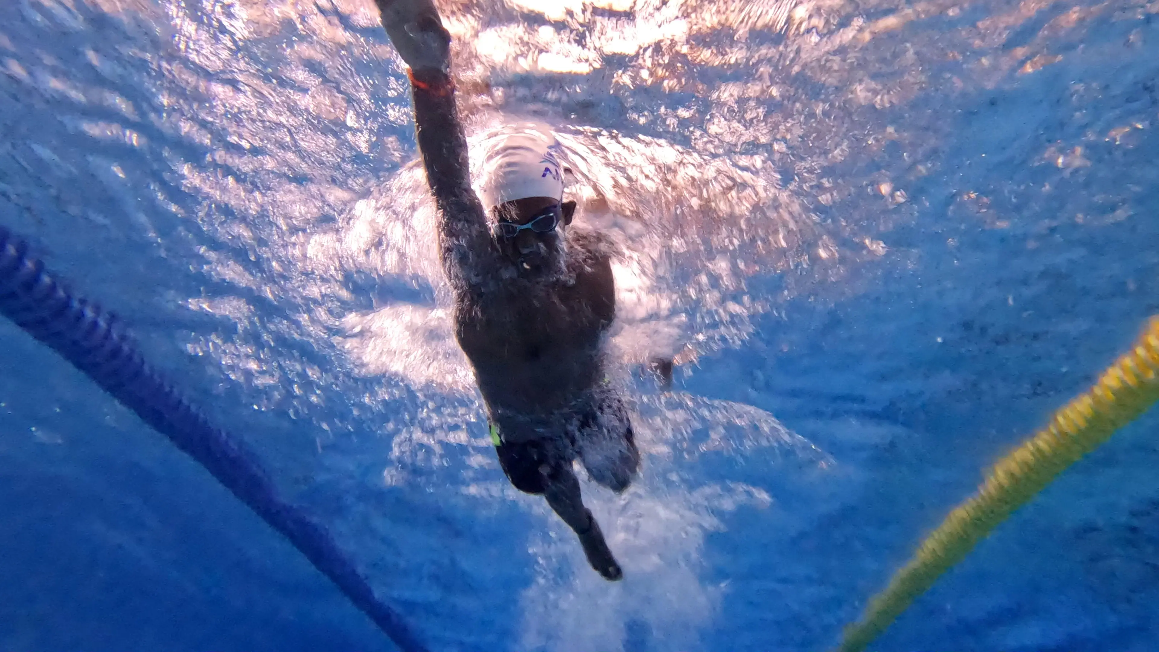 Dive: The Beginning backdrop