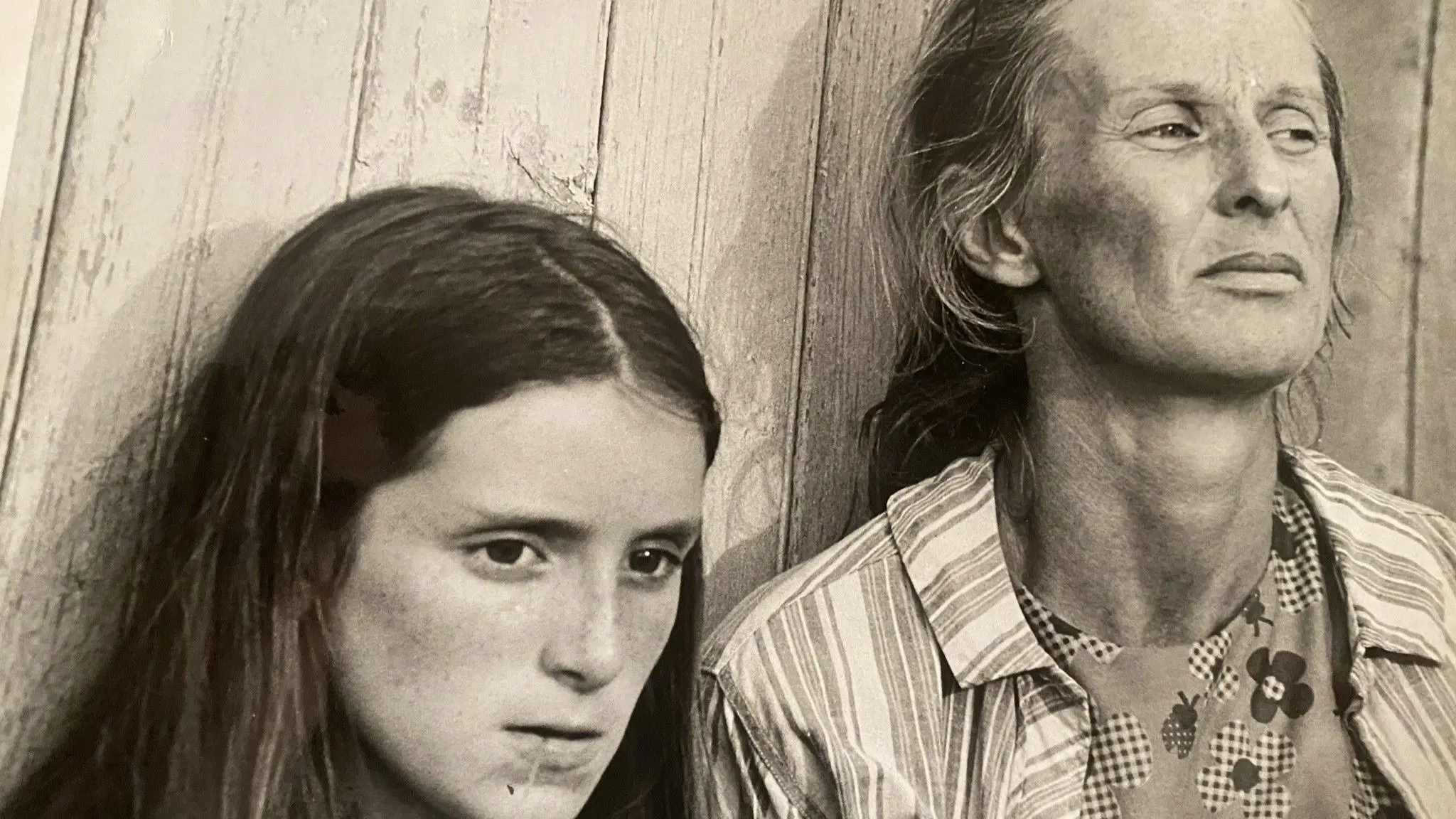 The Migrants backdrop