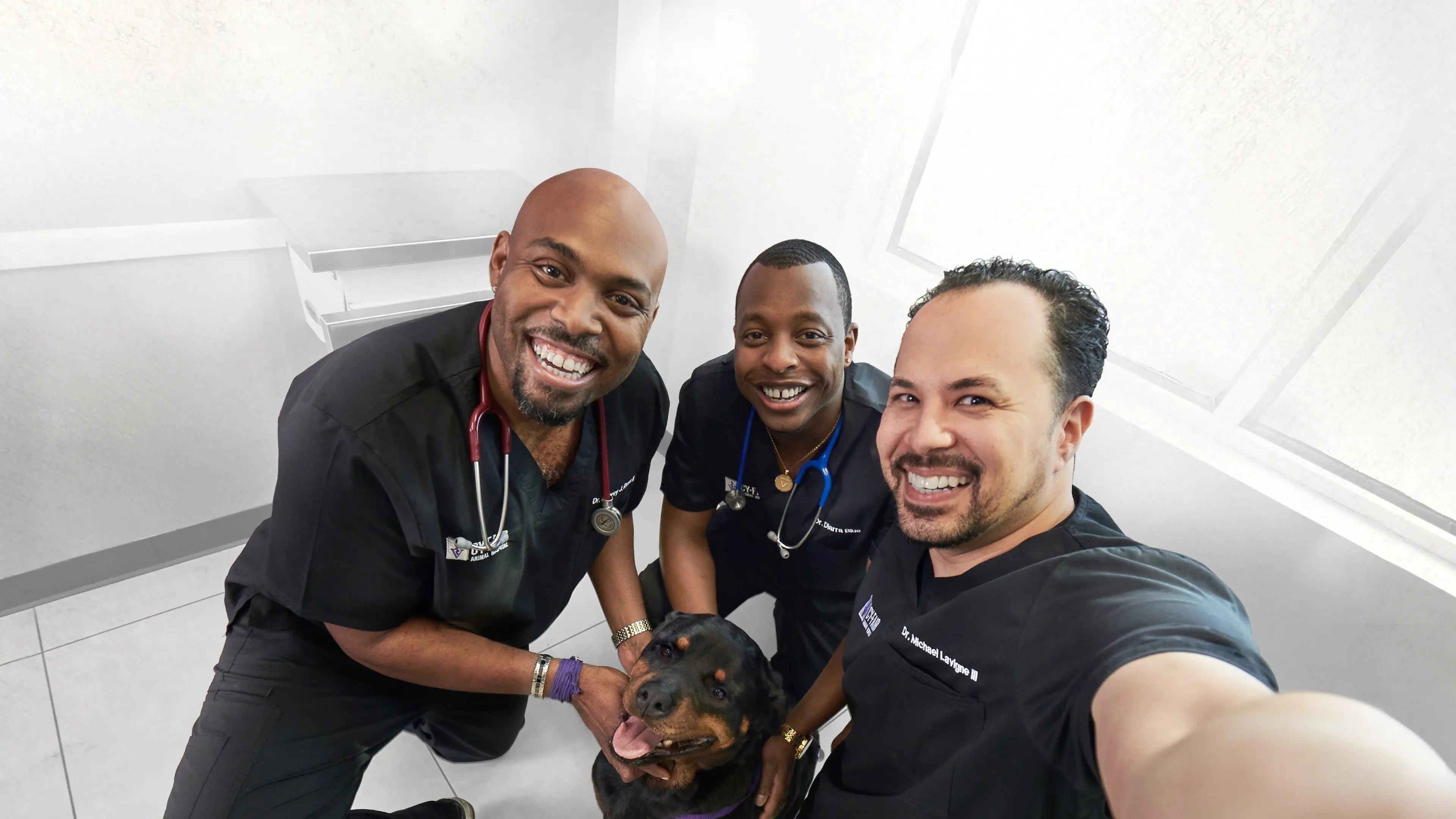 The Vet Life backdrop