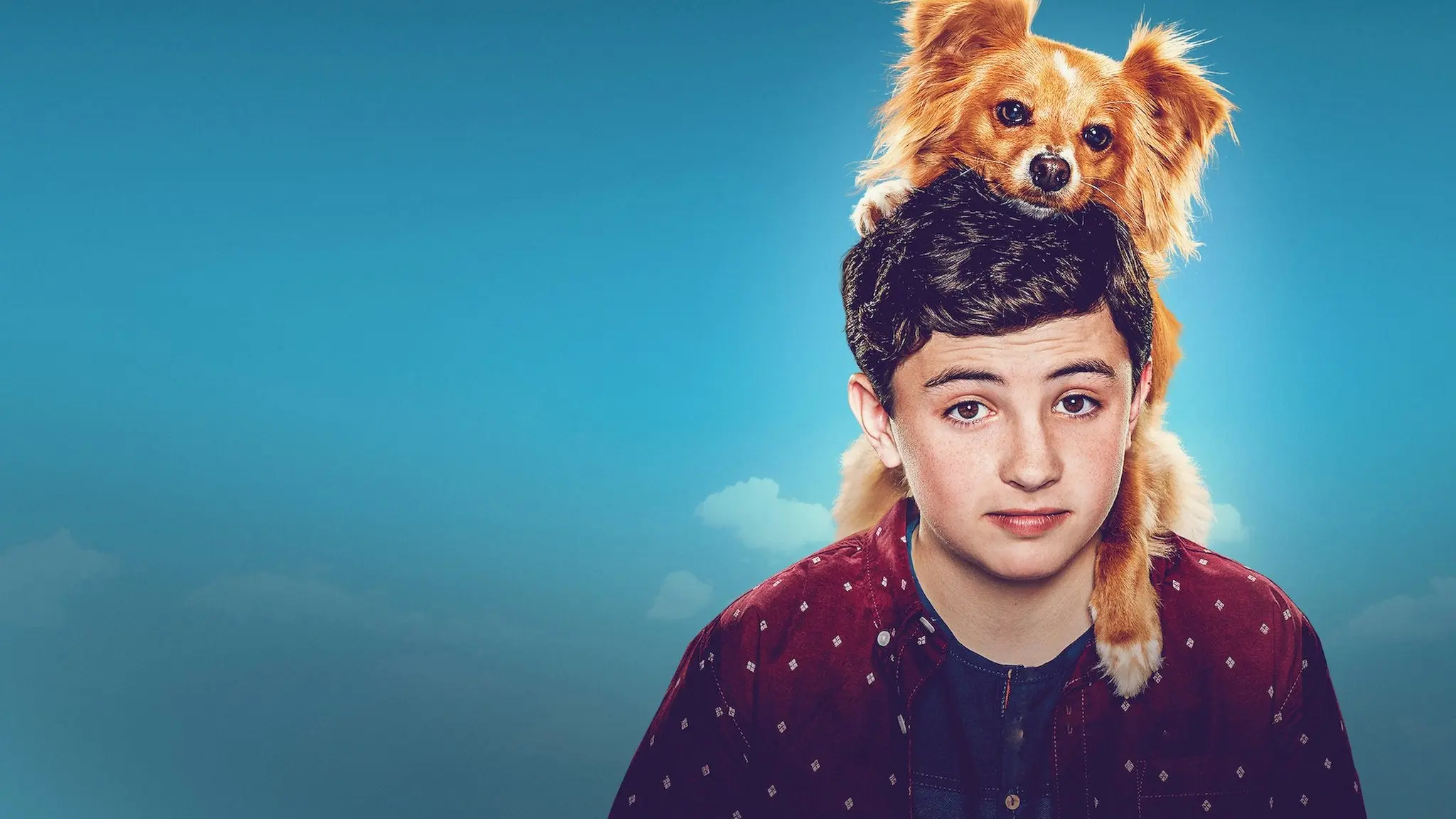 The Healing Powers of Dude backdrop