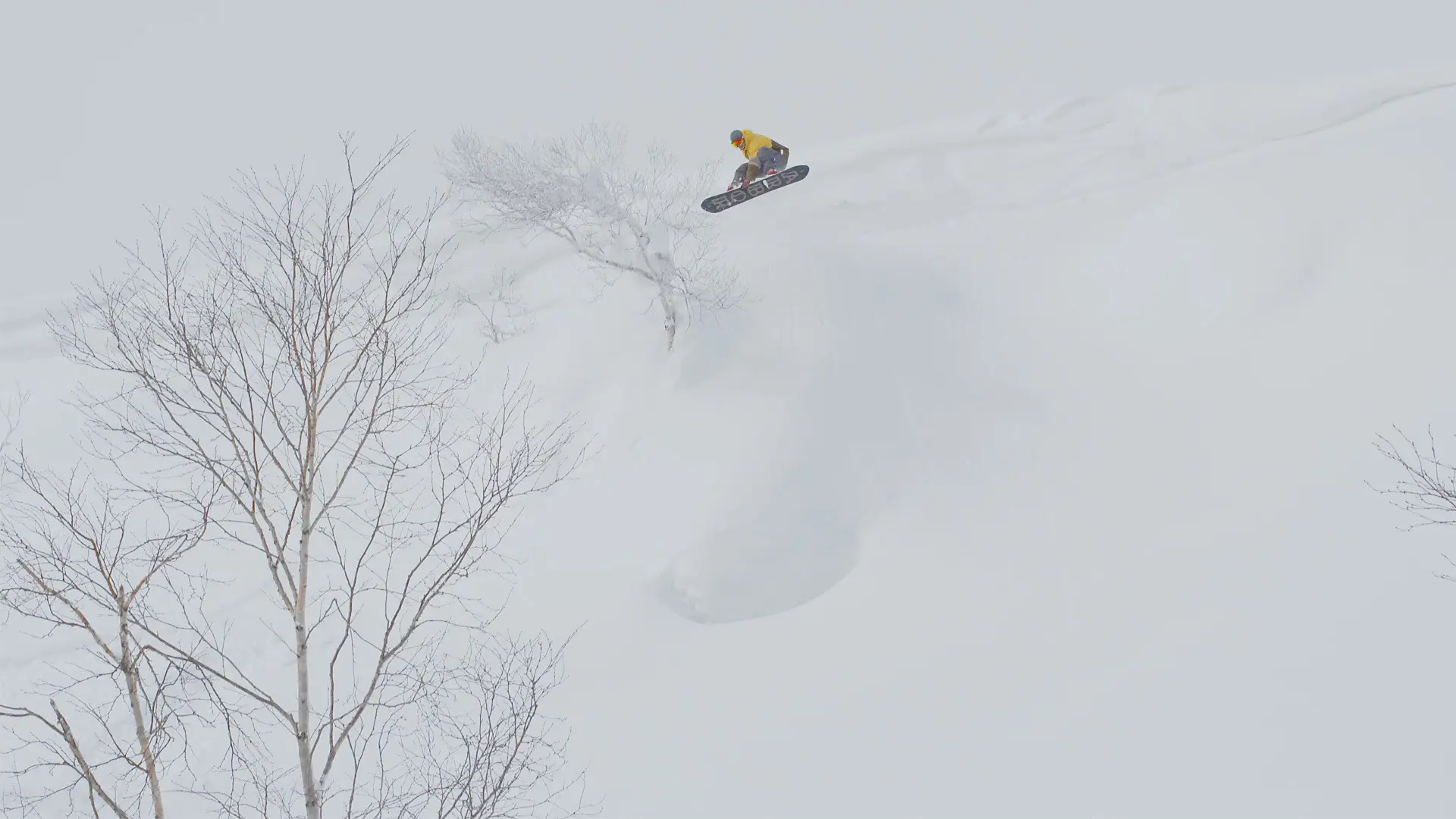 Naturestyle: Hokkaido Japan backdrop