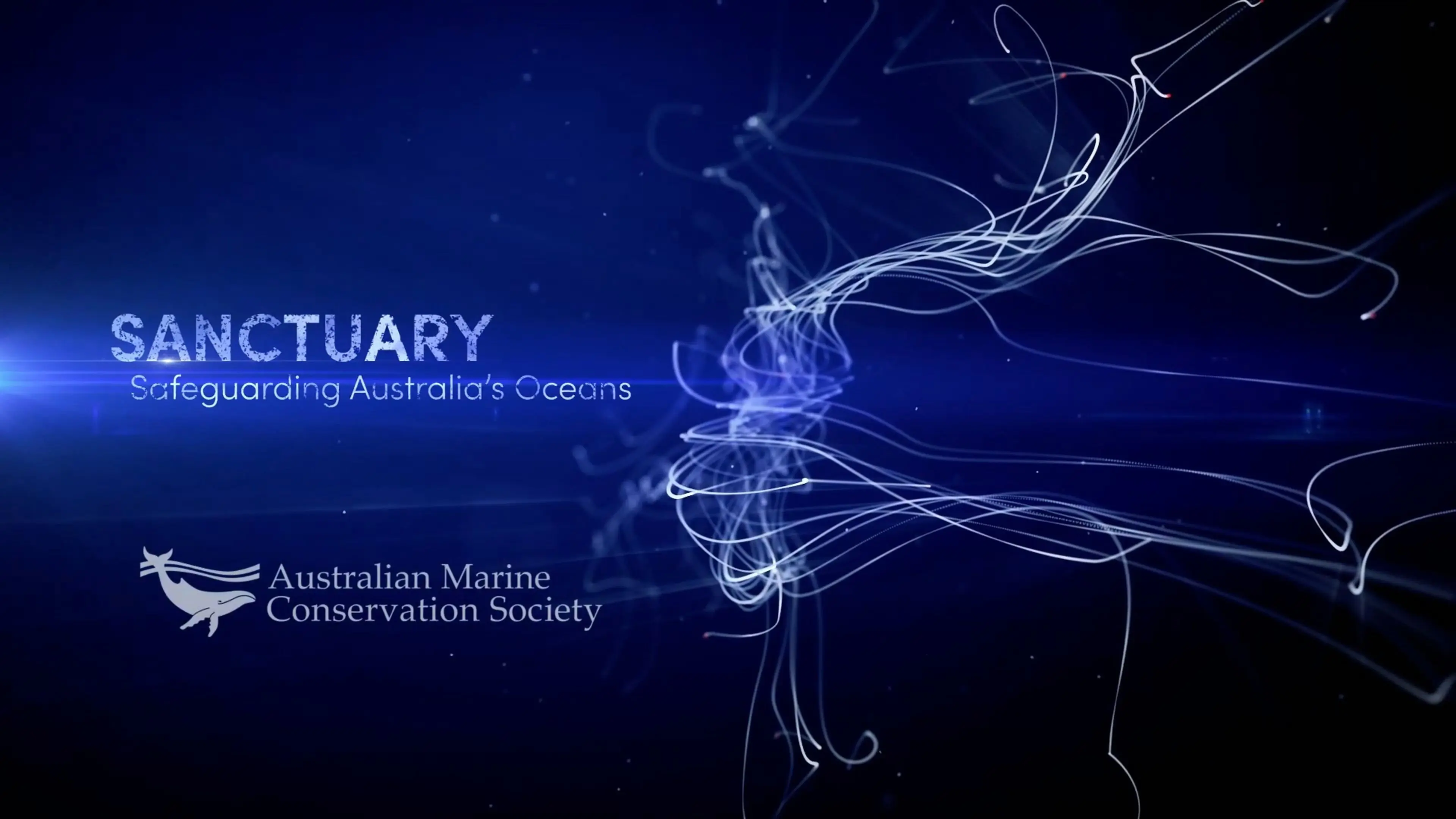 SANCTUARY - Safeguarding Australia's Oceans backdrop