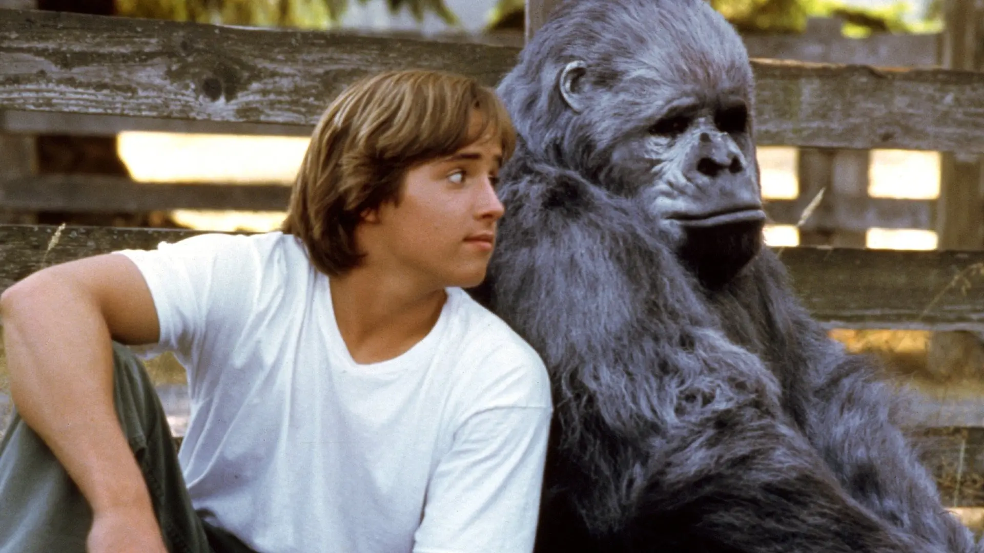 Born to Be Wild backdrop