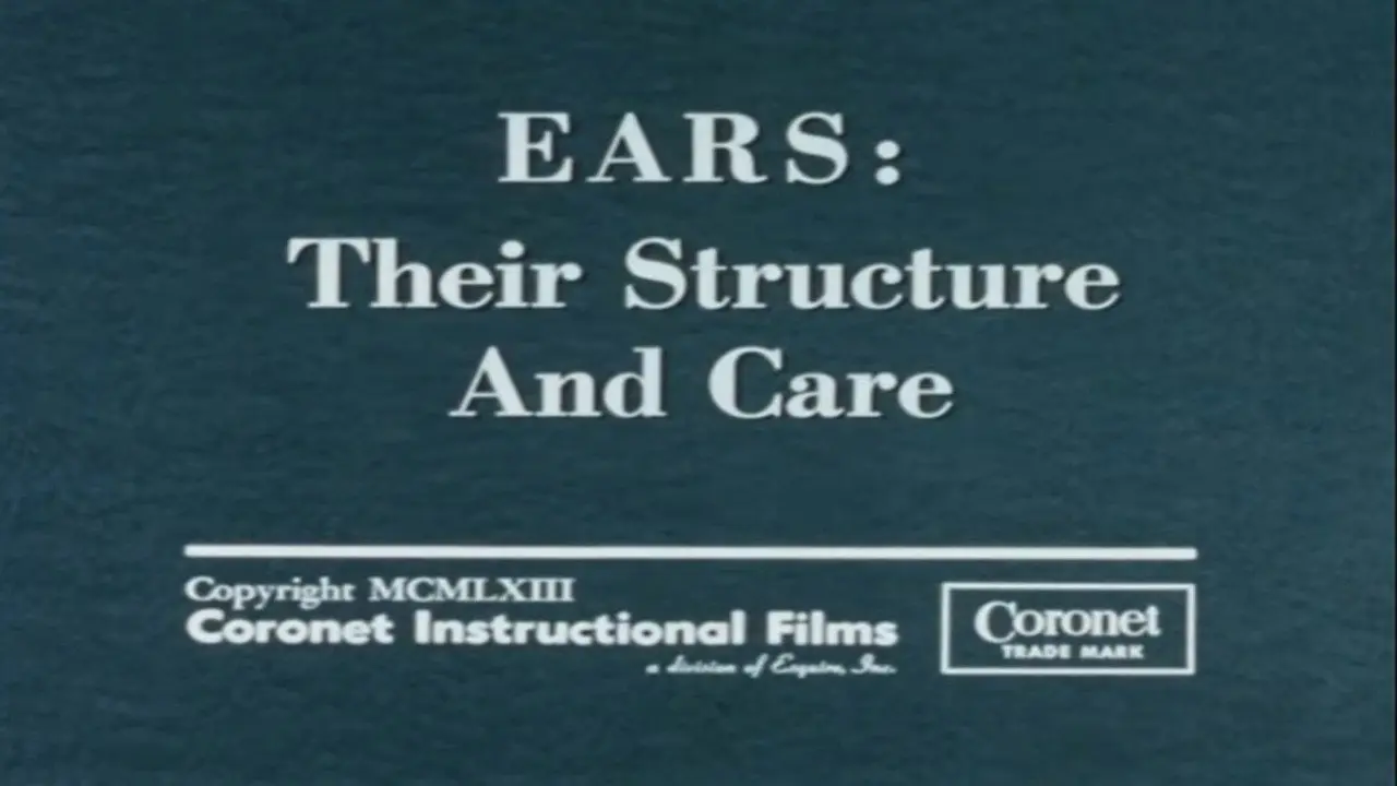 Ears: Their Structure and Care backdrop