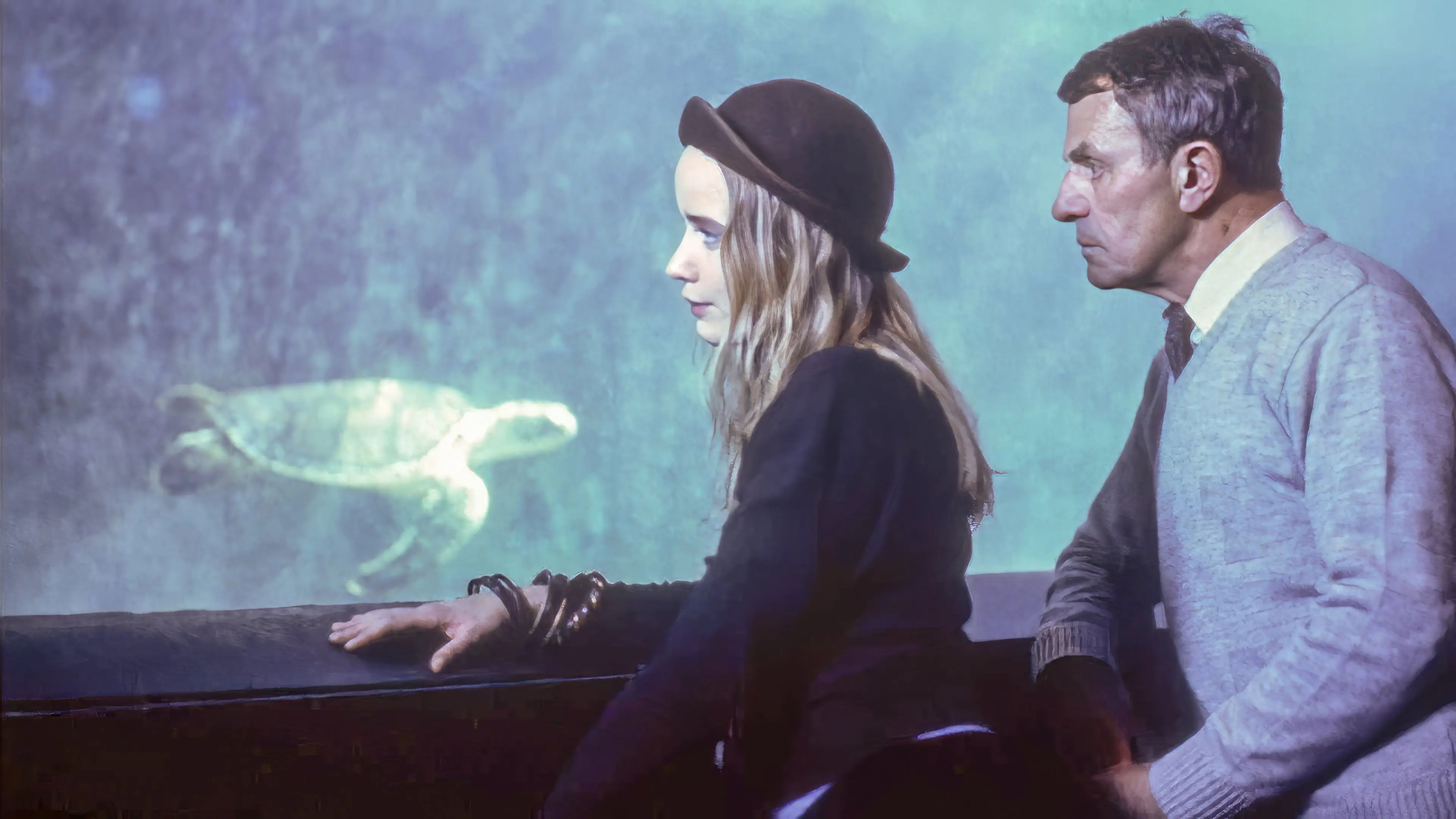 Year of the Turtle backdrop