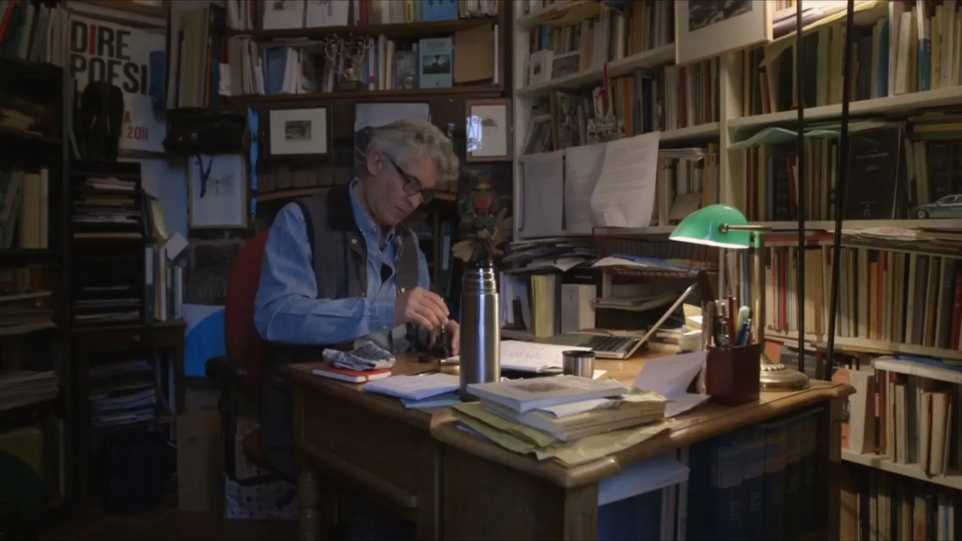 Libellula gentile. Fabio Pusterla, il lavoro del poeta backdrop