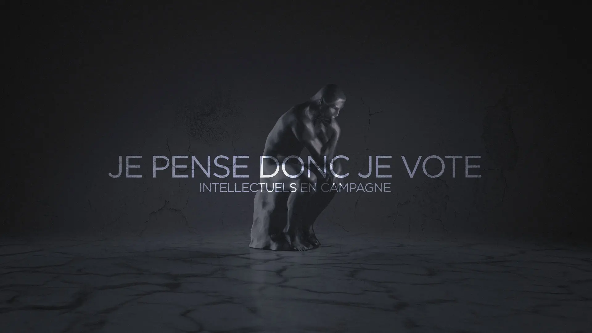 Je pense donc je vote : Intellectuels en campagne backdrop