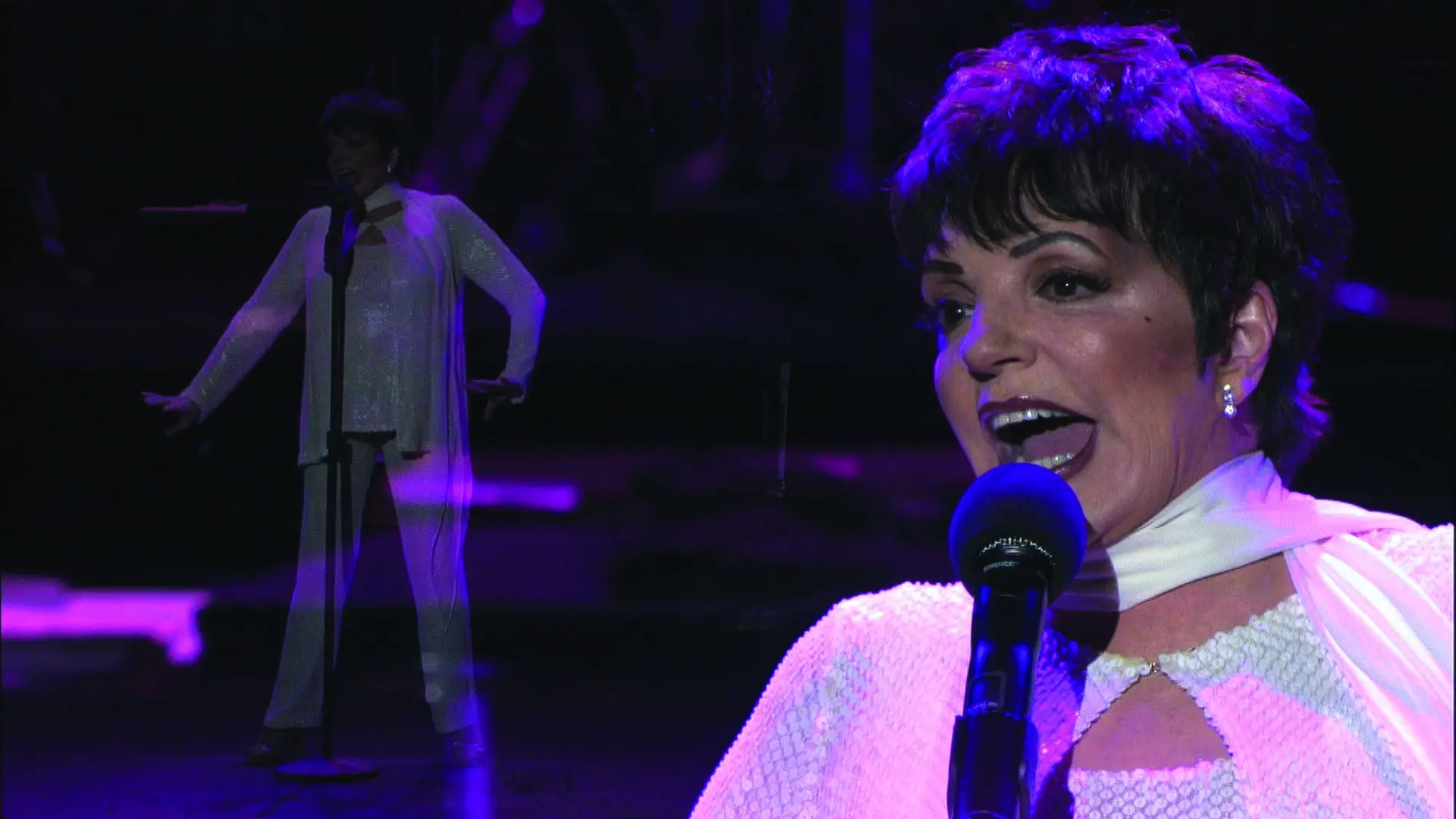 Liza Minnelli: Liza's at The Palace backdrop