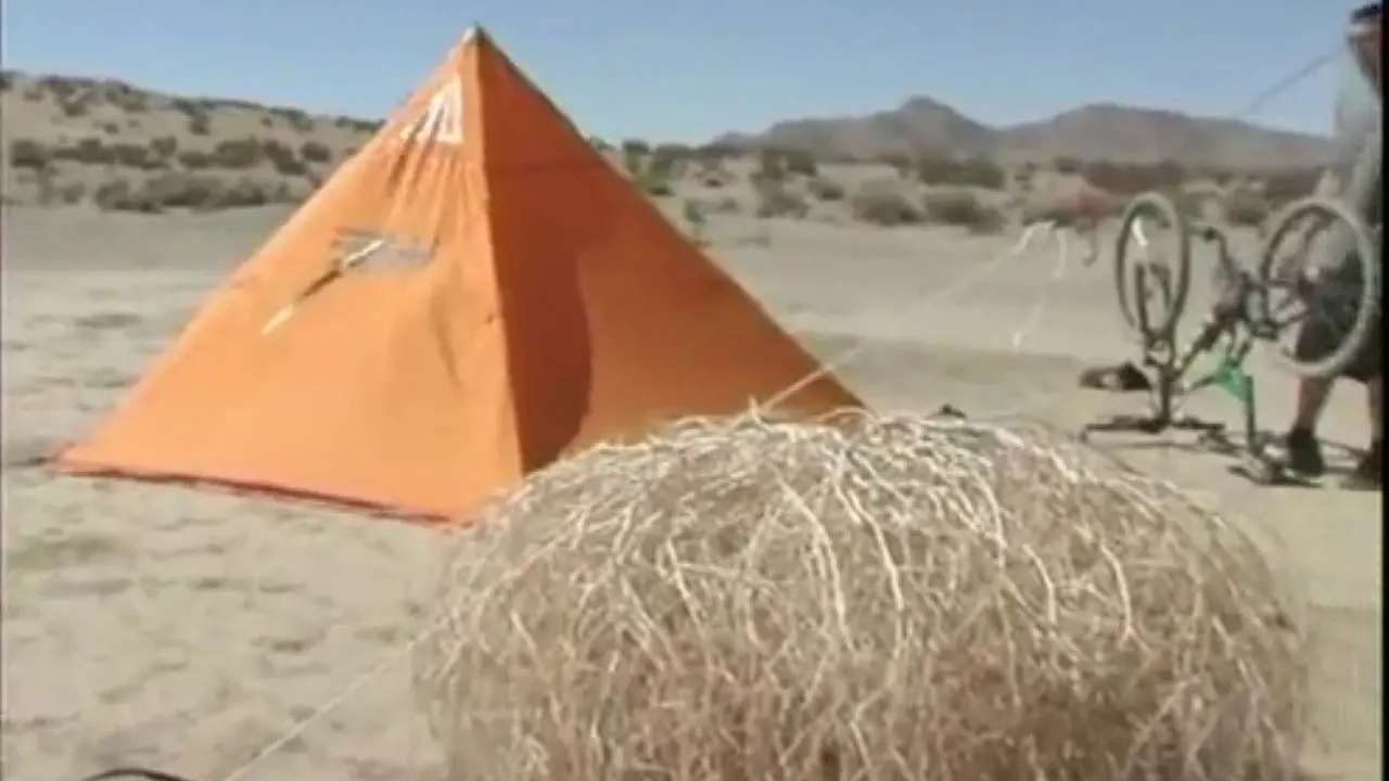 She Can't Say No backdrop