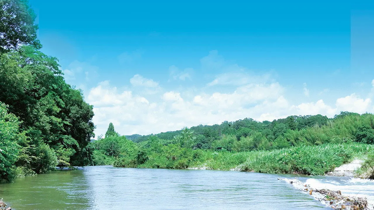 Our Summer ~River Side Family~ backdrop