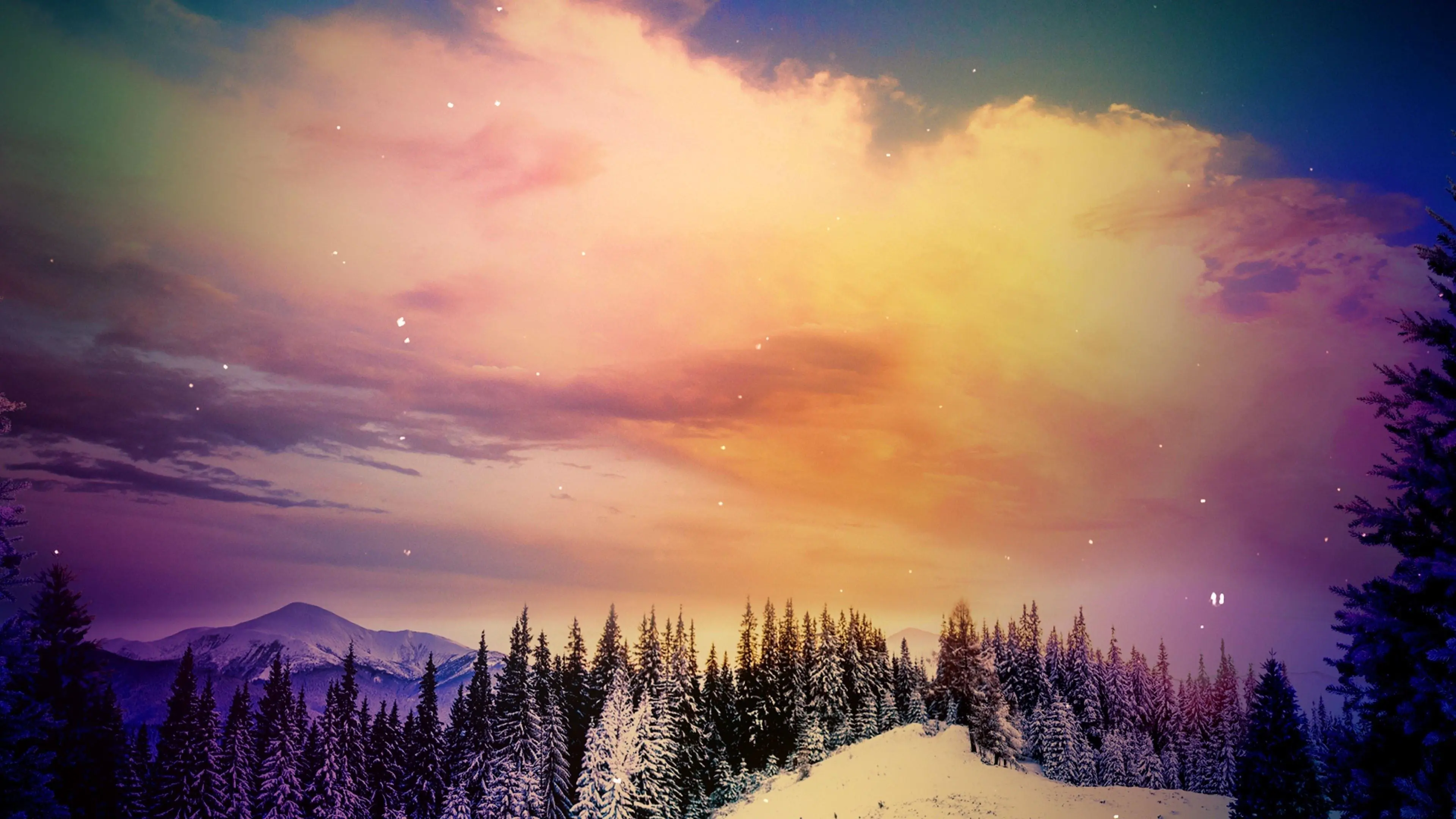 The Great Christmas Light Fight backdrop