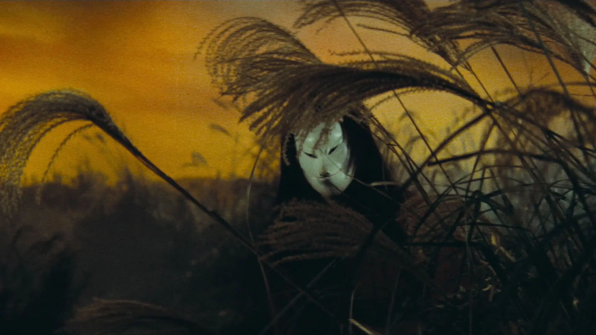 The Mad Fox backdrop