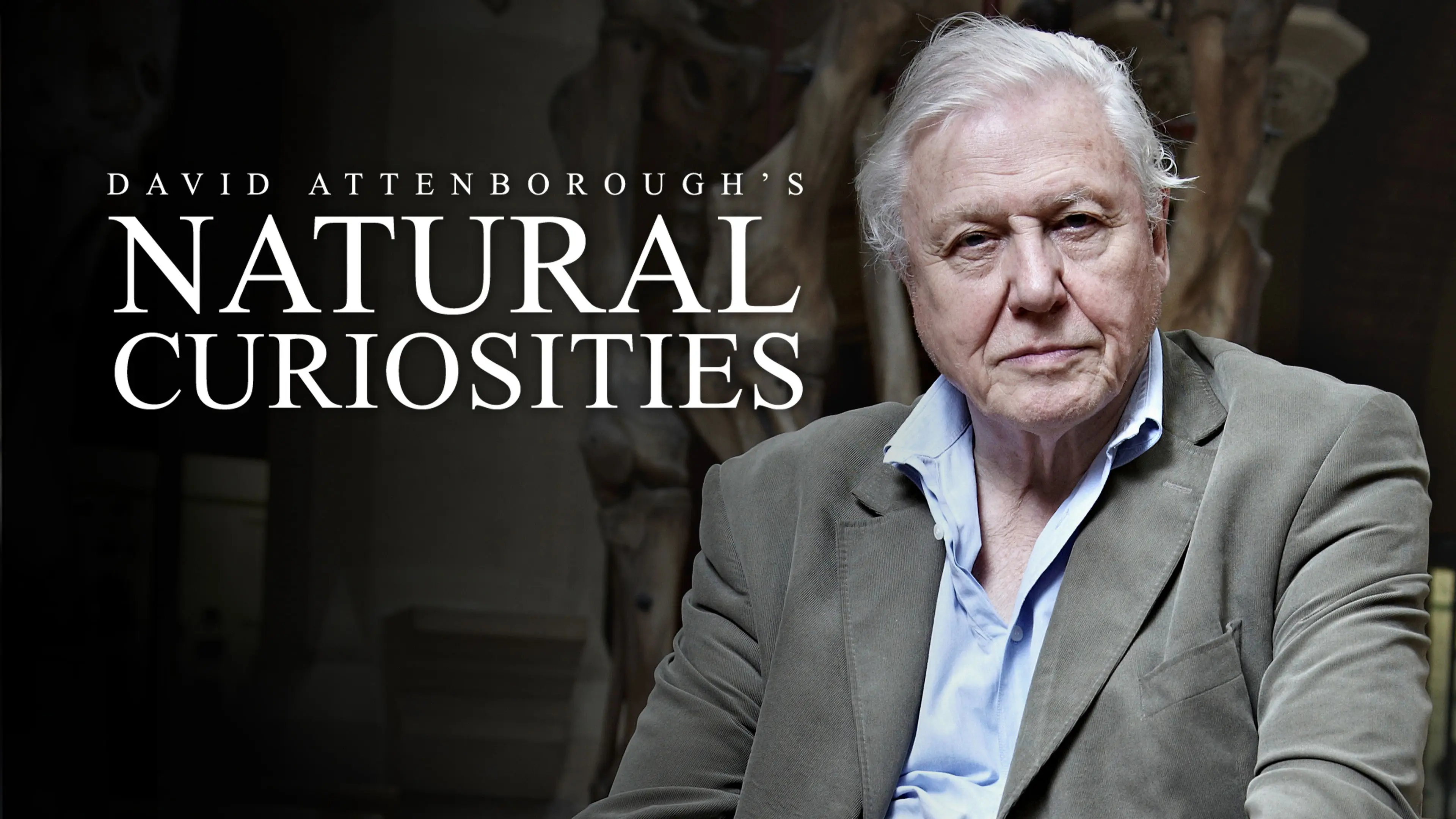 David Attenborough's Natural Curiosities backdrop